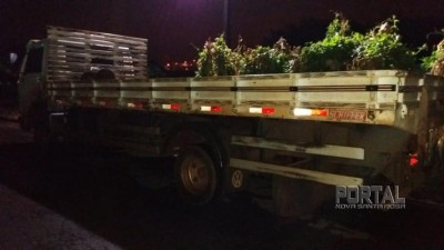 Caminhão roubado em São Paulo é recuperado em Marechal Rondon