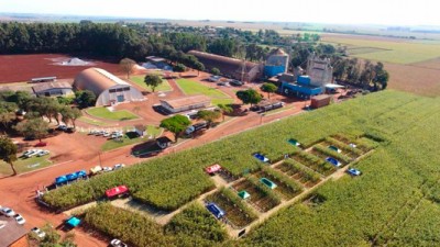 C.Vale - Milho safrinha é tema de dia de campo em Santa Rita