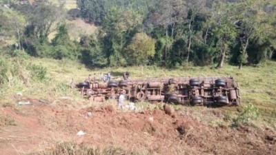 Carreta carregada com suínos tomba na BR 163, em Lindoeste