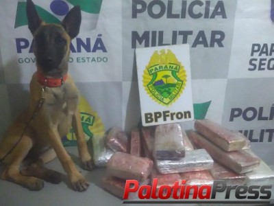 BPFRON/ OP COM CÃES APREENDEM MACONHA, ECSTASY E GRANDE QUANTIA EM DINHEIRO EM ÔNIBUS NA RODOVIÁRIA DE CASCAVEL-PR DURANTE OPERAÇÃO COESÃO I